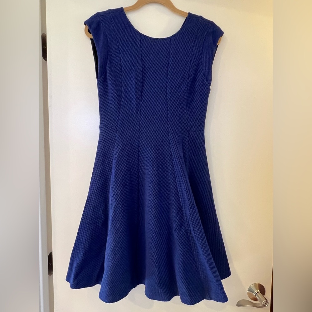 Rebecca Taylor fit and flare